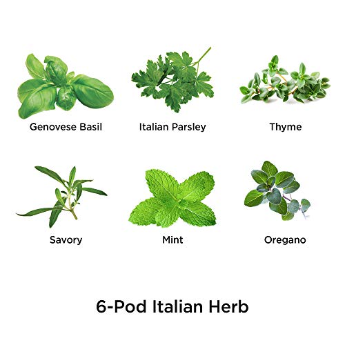 AeroGarden Assorted Italian Herb Seed Pod Kit (6-pod)