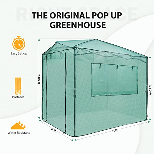 EAGLE PEAK 8'x6' Portable Walk-in Greenhouse Instant Pop-up Indoor Outdoor Plant Gardening Green House Canopy, Front and Rear Roll-Up Zipper Entry Doors and 2 Large Roll-Up Side Windows, Green