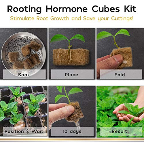 Rooting Hormone Cubes for Cloning Kit - Biodegradable Root Booster for Fast Root Growth - Advanced Cloning Hormone Rockwool Alternative - 30 1x1 inch Root Starter Seed Starter Plugs for Cloning Trays