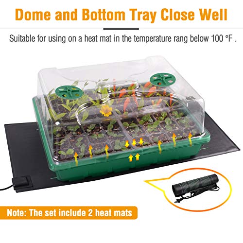 2 Sets Strong Seed Trays with Heat Mats, 48-Cell Seed Starter Kit, Plant Growing Trays with Humidity Domes for Microgreens, Soil Blocks, Rockwool Cubes, Wheatgrass, Hydroponic - Green
