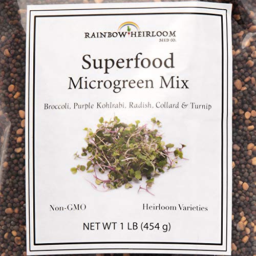 Superfood Microgreen Seeds Mix | for Microgreens Growing Trays | 1 LB | Heirloom Non GMO Purple Kohlrabi, Collard, Radish, Turnip & Broccoli Sprouts Seeds | Rainbow Heirloom Seed Co.