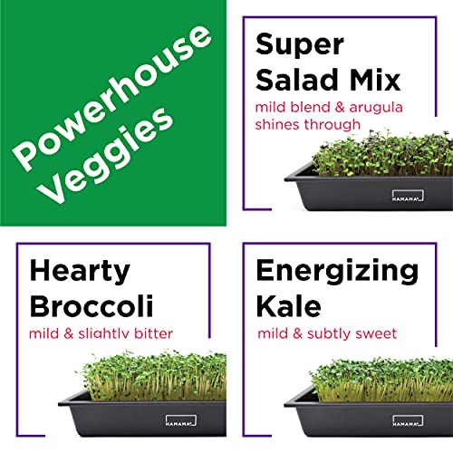 Powerhouse Veggies Refill for Hamama Home Microgreens Growing Kit, Grow Fresh Micro Greens Indoors Every Week, Just Add Water. Superfoods Microgreens Seeds. Grow Superfood Veggies and Supergeens.