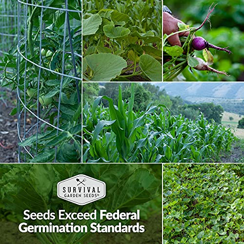 Survival Garden Seeds Home Garden Collection Vegetable & Herb Seed Vault - Non-GMO Heirloom Seeds for Planting - Long Term Storage - Mix of 30 Garden Essentials for Homegrown Veggies
