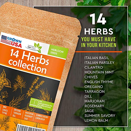 14 Culinary Herb Seeds Pack - Heirloom and Non GMO, Grown in USA - Indoor or Outdoor Garden - Basil, Parsley, Dill, Cilantro, Rosemary, Mint, Thyme, Oregano, Tarragon, Chives, Sage & More