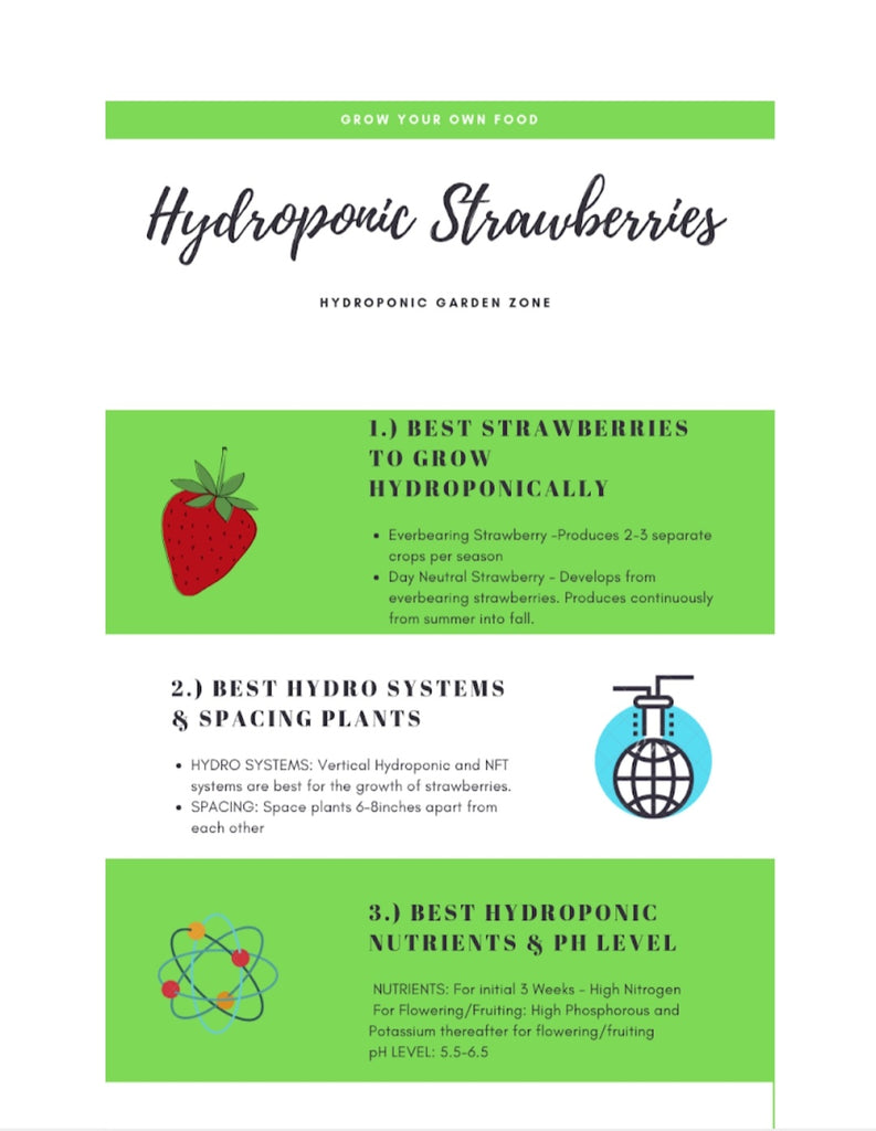 Grow Strawberries in a Hydroponic System