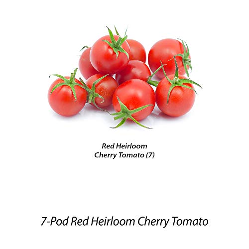Miracle-Gro AeroGarden Red Heirloom Cherry Tomato Seed Pod Kit (7-Pods)