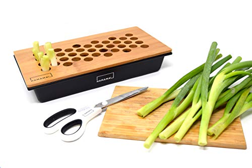 Hamama Home Green Onion Kit, Regrow Fresh Green Onions Indoors Every Week, 30-Second Setup, Just Add Water, Green Onion Ends. Includes Growing Tray, Coco Fiber Mats, Easy Instructions. Cooking Gift.