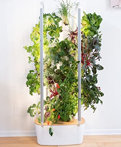 Gardyn Home 1.0 - Indoor Vertical Garden - Smart Hydroponic Growing System with WiFi - 30 Indoor Plants - Great for Vegetables, Herbs, Greens - Best Invention by Time Magazine