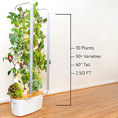 Gardyn Home 1.0 - Indoor Vertical Garden - Smart Hydroponic Growing System with WiFi - 30 Indoor Plants - Great for Vegetables, Herbs, Greens - Best Invention by Time Magazine