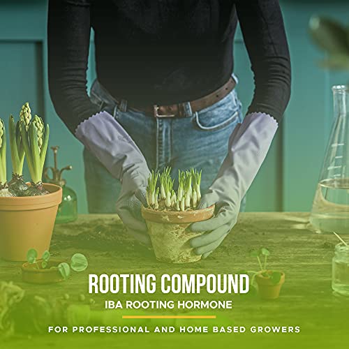 Rooting Gel for Cuttings – IBA Rooting Hormone - Cloning Gel for Strong Clones - Key to Plant Cloning - Midas Products Rooting Gel Hormone for Cuttings 4oz - for Professional and Home Based Growers