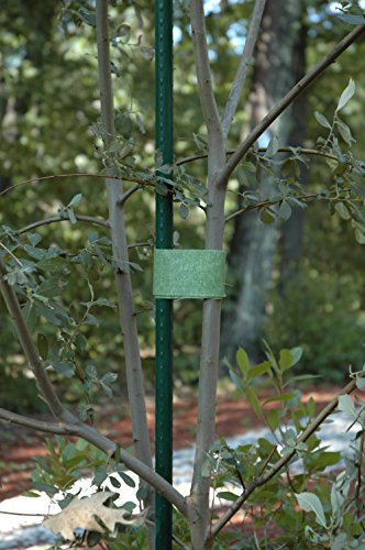 VELCRO Brand ONE-WRAP Garden Ties | Tree Ties and Plant Supports for Effective Growing | Extra Wide to Secure Trees and Larger Plants | Cut-to-Length | 18 feet x 2 inch roll | Green