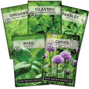 Sow Right Seeds - Herb Garden Seed Collection - Basil, Chives, Cilantro, Parsley, and Oregano Seeds for Planting; 5 Individual Packets