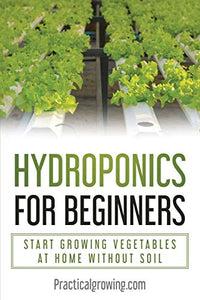 Hydroponics for Beginners: Start Growing Vegetables at Home Without Soil