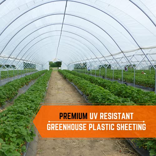 Farm Plastic Supply - Clear Greenhouse Plastic Sheeting - 6 mil - (25' x 40') - 4 Year UV Resistant Polyethylene Greenhouse Film, Hoop House Green House Cover for Gardening, Farming, Agriculture
