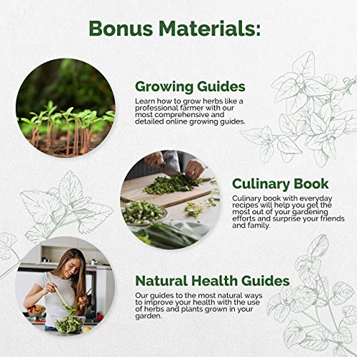 18 Culinary Herbs Seeds Variety Pack - Heirloom, NON-GMO, Herbs Seeds for Planting Outdoor and Indoor - Home Gardening. Over 5000+ seeds including Rosemary, Thyme, Oregano, Mint, Basil, Parsley & More