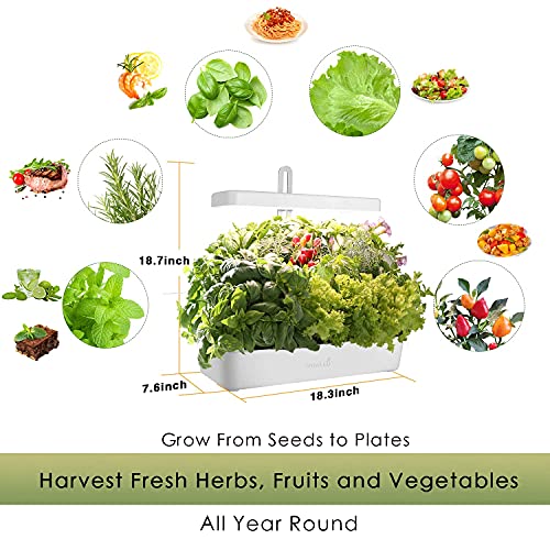 GrowLED 10-Pod Indoor Garden Germination Kit, Hydroponic Growing System, Food Grade Material Indoor Herb Garden, Nutrients Pre-Set Smart Soils Included, Automatic Timer, Height Adjustable (No Seeds)