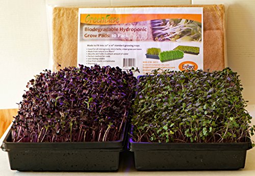 GreenEase 10x20 Jute Microgreens Hydroponic Grow Pads - 10 Pack, Fits 10x20 Standard Nursery Tray. Grow Nutritious Organic Microgreens, Wheat Grass, Plant and Seed Germination. Organic Use Certified.