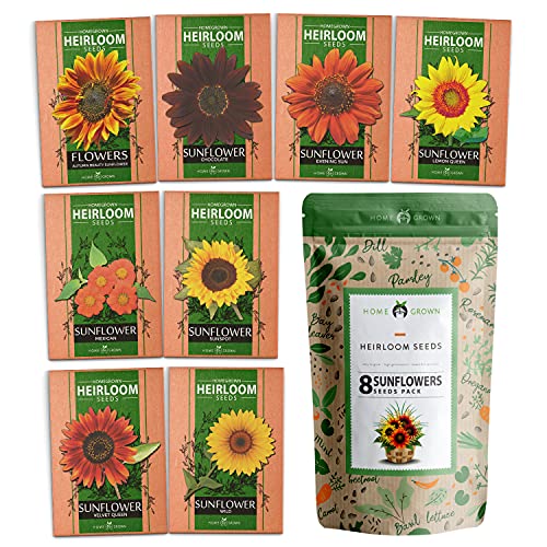 8 Sunflower Seeds to Plant | Bulk 1000+ Seeds | Heirloom Seeds | Non-GMO Flower Seeds for Planting Outdoors | Garden Seeds for Baby Shower Favors or Wedding Favors | for Birds and Bees